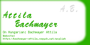 attila bachmayer business card